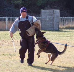 PuppyTraining